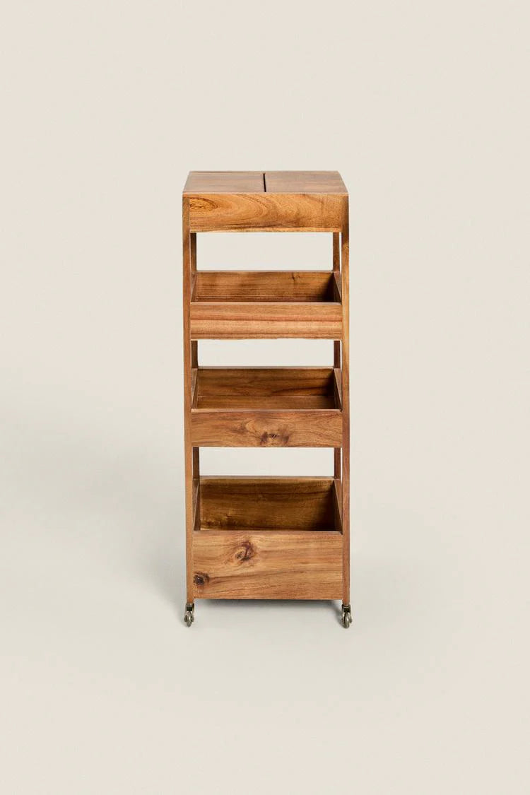 Storage Orignizer