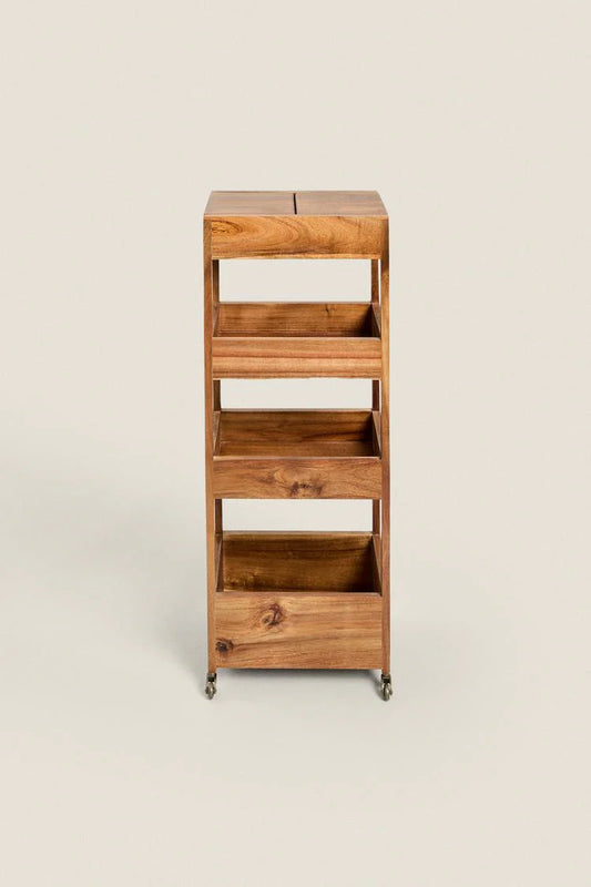 Storage Orignizer